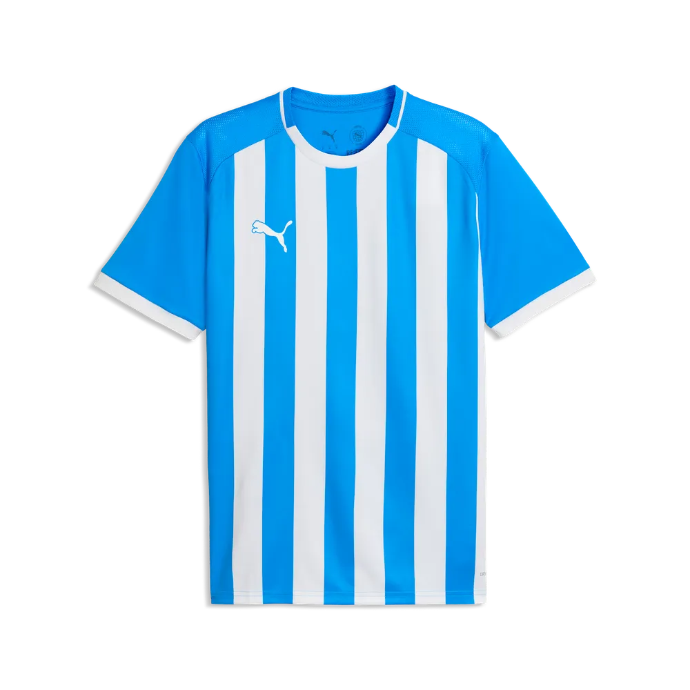 Puma teamLiga 26 Striped Trikot