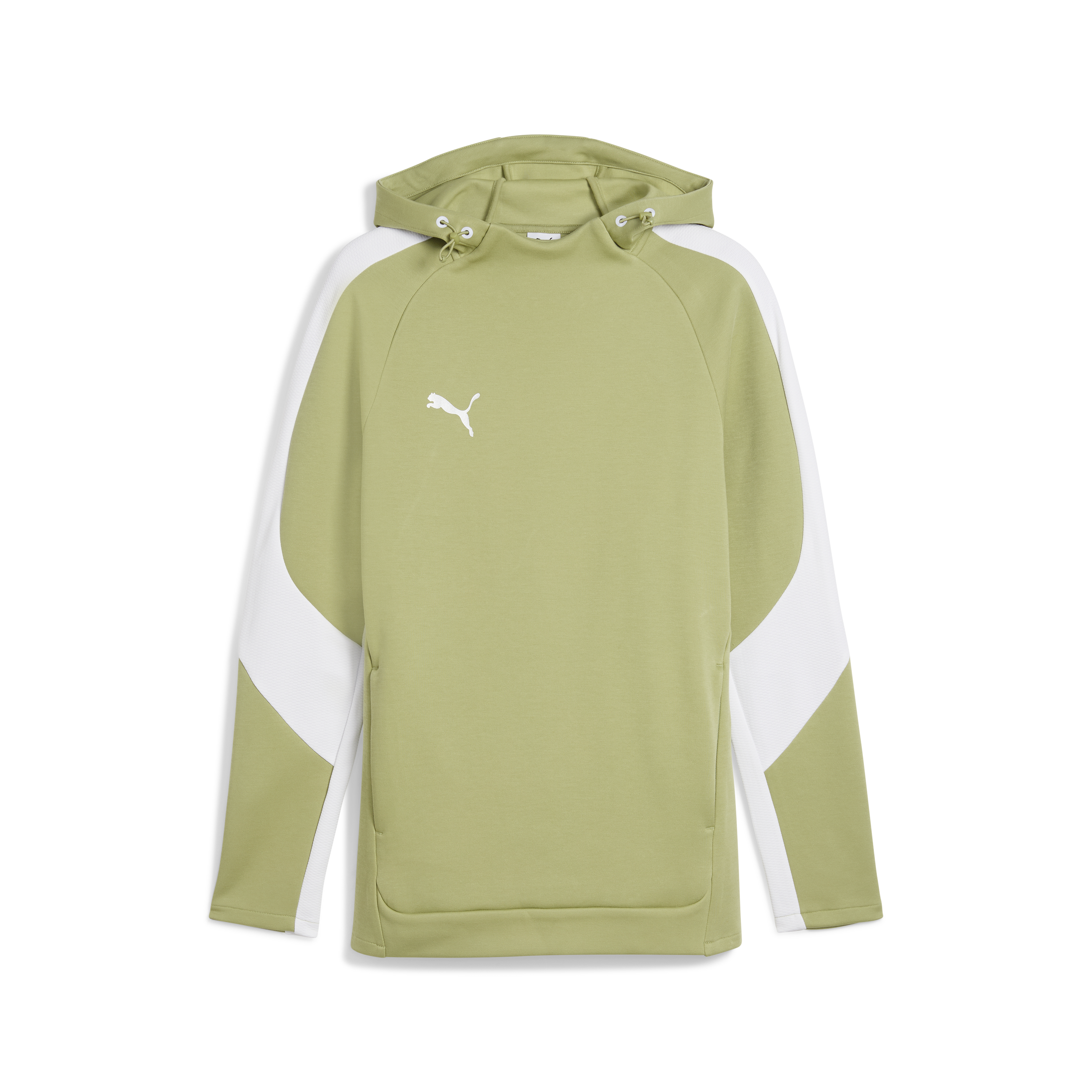 Puma teamEvostripe Hoody