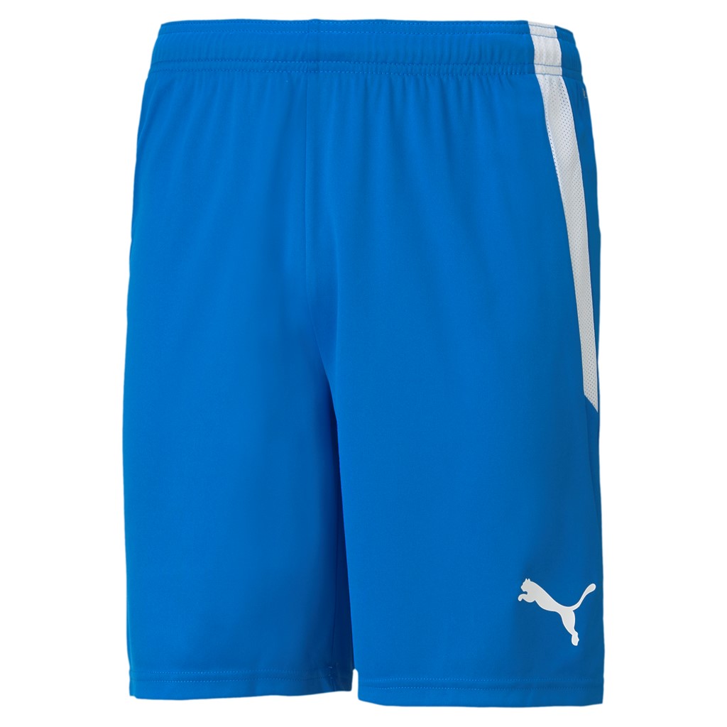 Puma teamLIGA Shorts