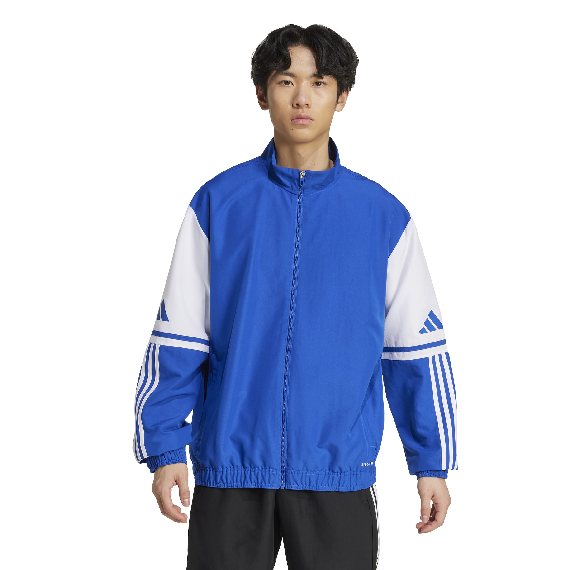 Adidas Squadra 25 Präsentationsjacke 